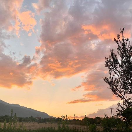 Οlives And Vines All Seasons Villa Litochoro Exteriér fotografie