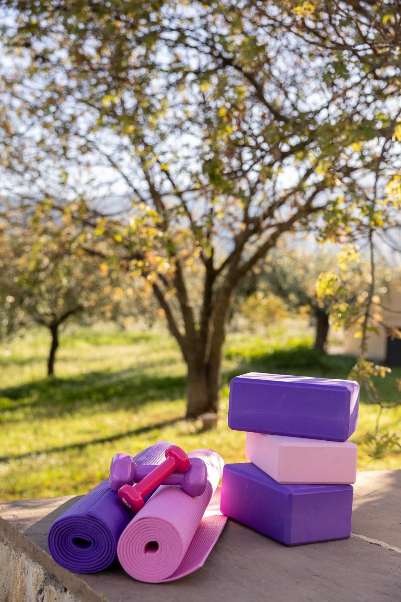 Οlives And Vines All Seasons Villa Litochoro Exteriér fotografie